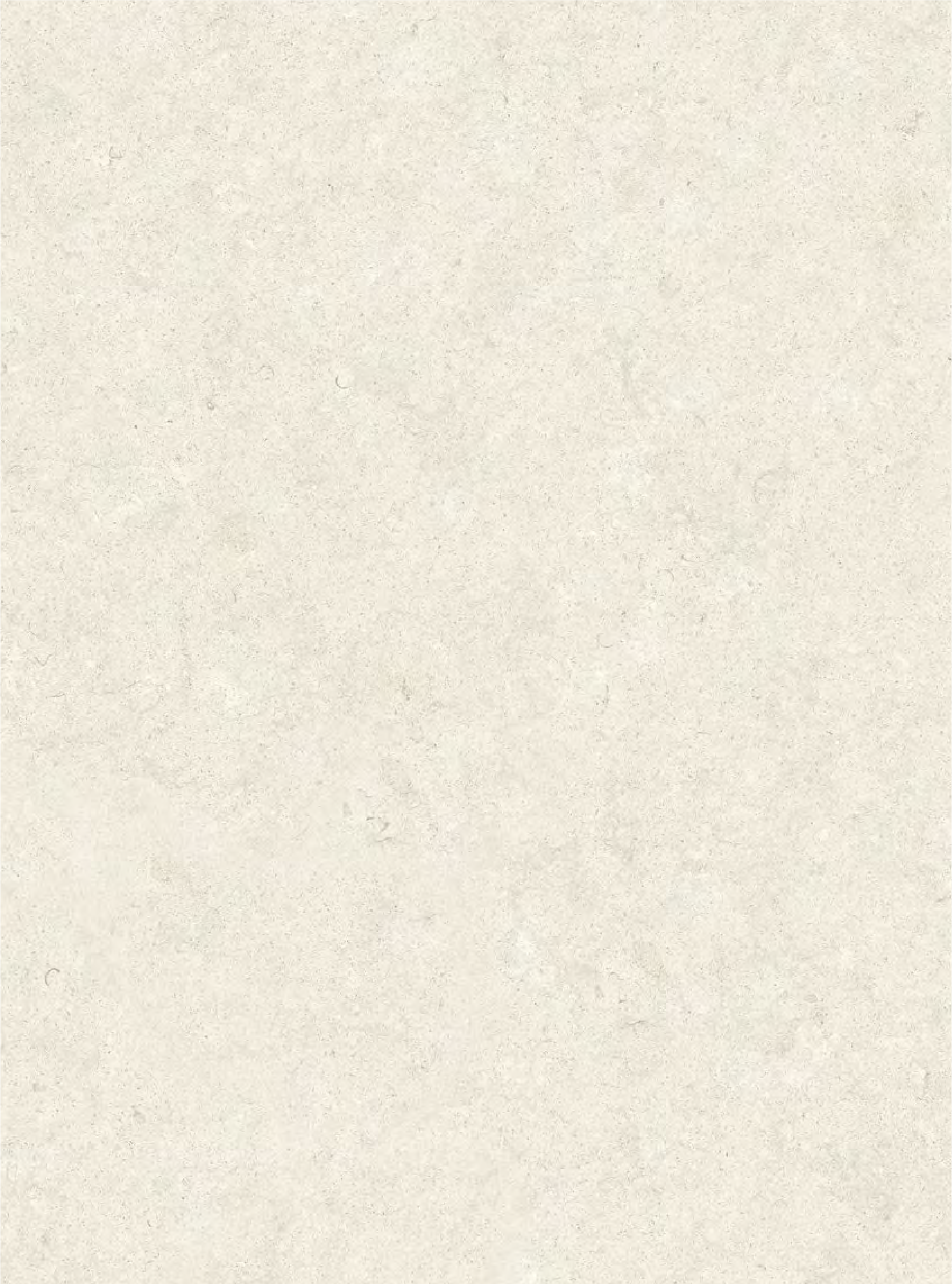 Obra 8